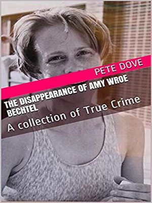 cover image of The Disappearance of Amy Wroe Bechtel